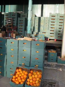 There we are:  A container load of oranges.  All I have to do is ask for a box....