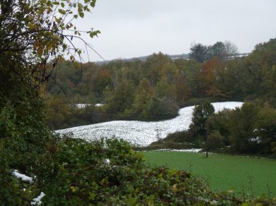 Snowy field, green field