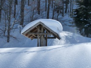 Buried information board on a local snowshoes expedition last March