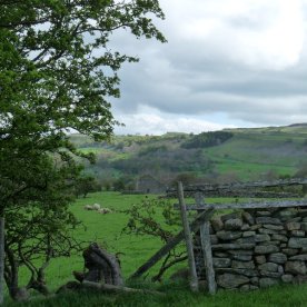 An early view across the fields.