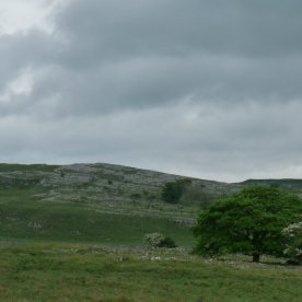 Limestone scenery of the Dales.