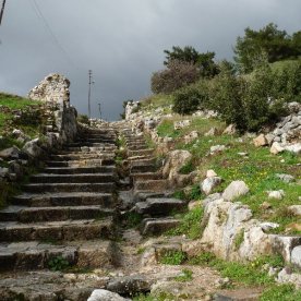 Steps up to the city of Priene.