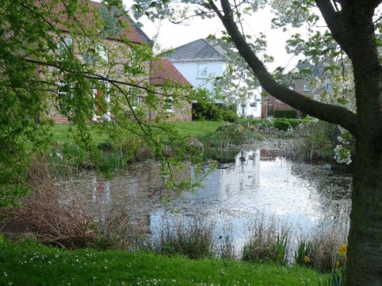 A village pond at North Stainley.