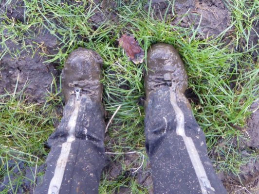 Muddy boots.