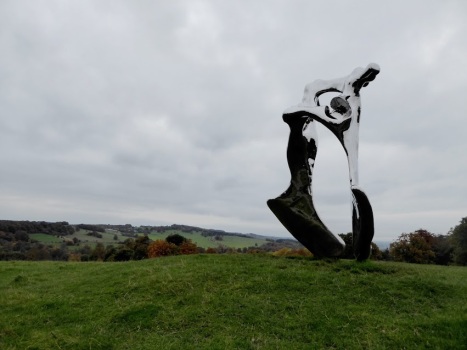 This is your introduction to YSP. 'Pelvis'