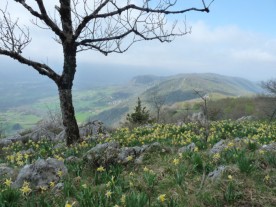 Springtime in the Dolomies, near Foix.