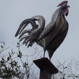 And the cock, keeping guard at the same house.