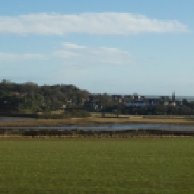 Alnmouth from the train.