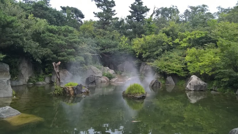 Well, this isn't a waterfall. But I couldn't resist this pond near the National Museum of Korea in Seoul, with its atmospheric clouds of vapour.