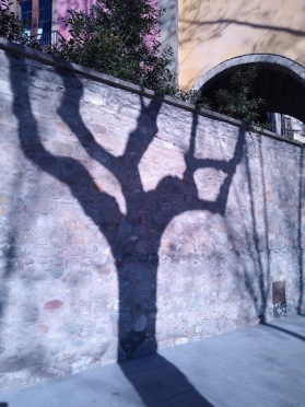 My goodness, that was a gnarled tree that we spotted in Vic, Catalunya. But look what the shadow has done to it- flattened and smoothed it completely.