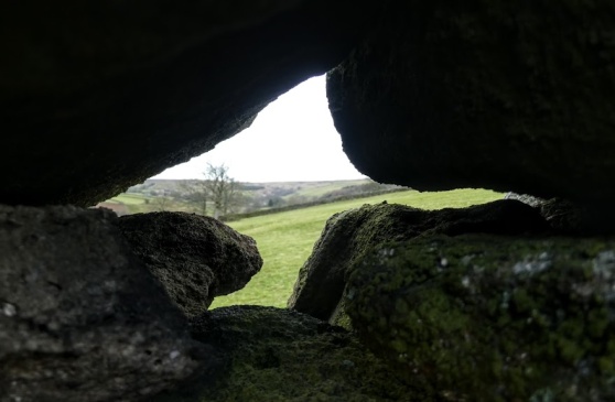 Peeking through a dry stone wall.