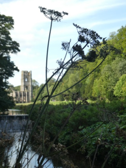 Walking along the River Skell towards Fountains Abbey